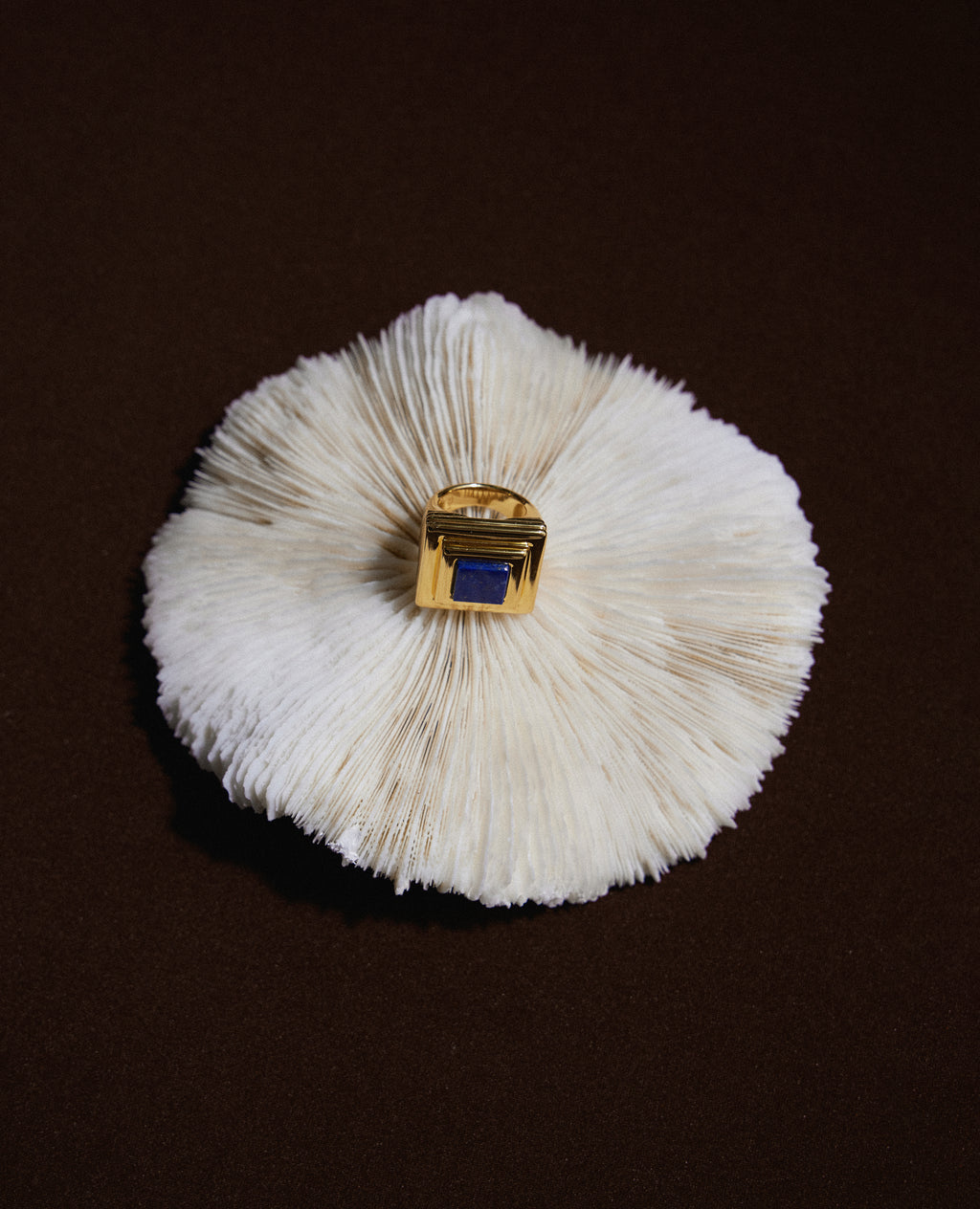 Ruhl Ring