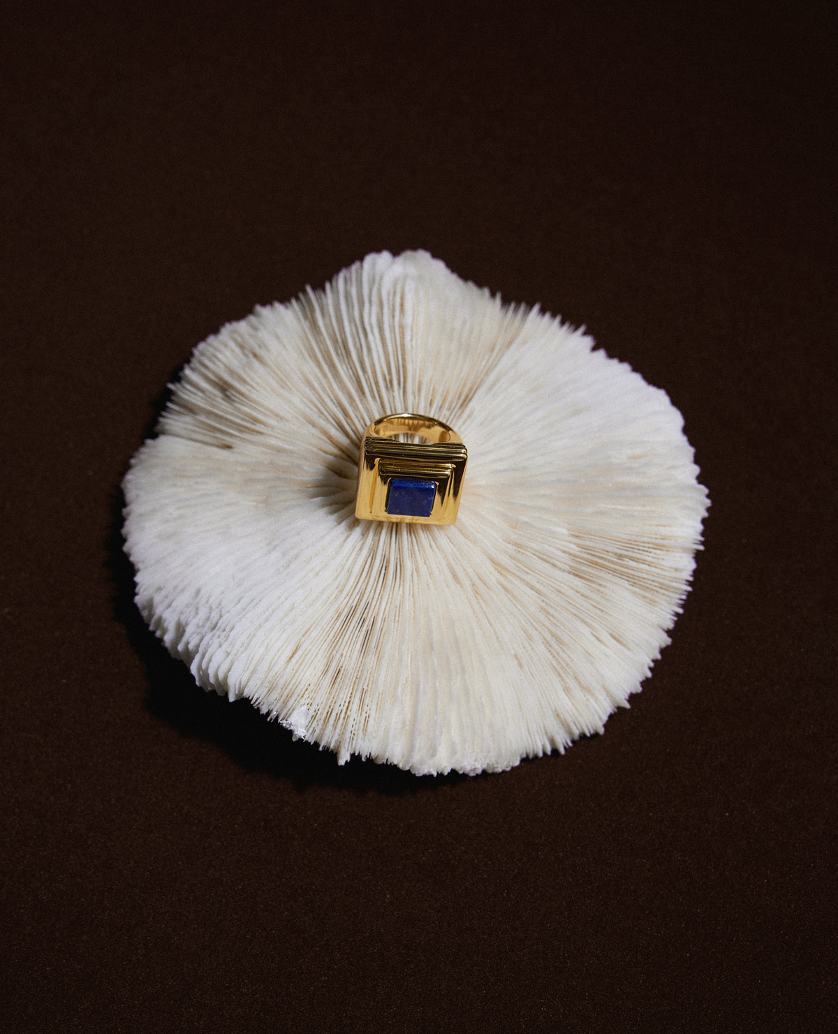 Ruhl Ring